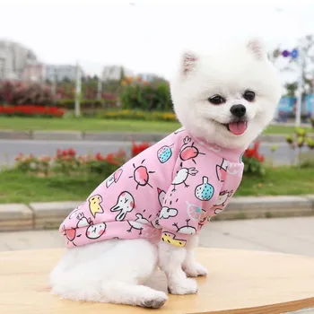 Oblečenie pre psy, Roztomilý Pes Kabát Cartoon Šteňa Bunda Mačka Kostým pre francúzsky Buldog Chihuahua Ropa Para Perro Jeseň Pet Oblečenie