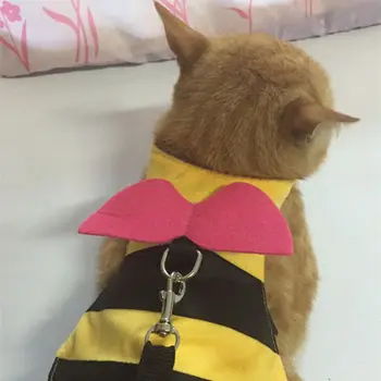 Roztomilý Bee Tvar Králik Postroj Vesta Malé Pet Mačka, Škrečok Postroj Vodítku Popruh
