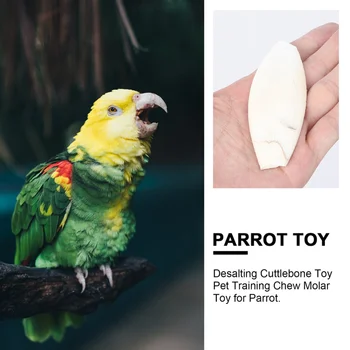 10 Ks Papagája Žuvanie Hračky Cuttlebone Molekulová Zuby Brúsenie Hračky Molekulová Hračky