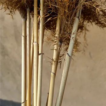 10pcs Domova svadobnú kyticu sušené pampasgrass vianočný dekor pampas kyticu prírodné sušené reed rastliny