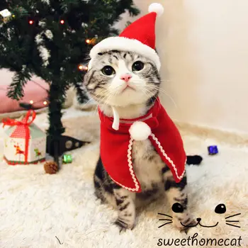 Mačka Vianočné Hat Vianočné Psov Príslušenstvo Psa Klobúky Pet Produkt Zimné Klobúk pre Mačky, francúzsky Buldog Klobúk pre Mačky Klobúk pre Psov