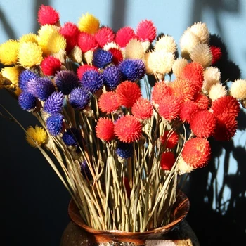 15pcs Pestré Prírodné Sušené kvety Kytice DIY Krásna Výzdoba Strany Gomphrena Globosa Umelý Kvet Jahody Tráva