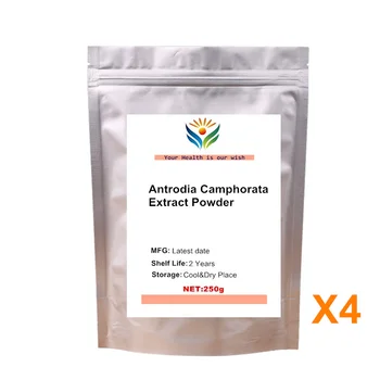 Antrodia Camphorata Húb Extrakt, Prášok 50% Polysacharid, pre Zvýšenie Imunity Doplnky