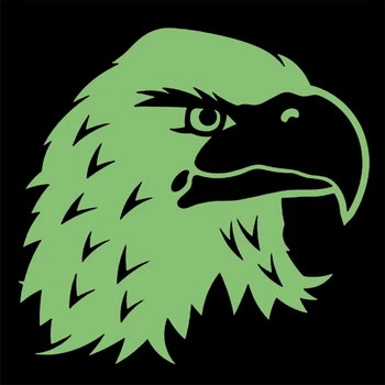 Škvrny Noctilucent Eagle Nálepky na Oblečenie termotransferovú Tlač Vzor DIY Dekorácie Zvierat Štýl Svetelný Patch
