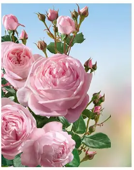 Kvety diamond maľovanie pink rose drahokamu výšivky obraz mozaiky nálepky dekor diamond dot gobelín plagáty na stenu papiere