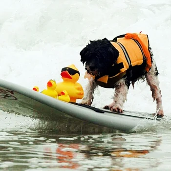 Pes Život Bunda Vesty Vonkajšie Psa Handričkou Float Šteňa Záchranu Plávanie Používajte Ochranné Oblečenie Vesta Život Vesta Pre Psov