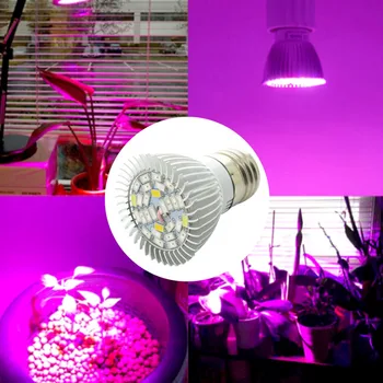 Celé Spektrum cfl LED Rásť Svetlo Lampada E27 E14 GU10 110V 220V Vnútorné zariadenia na Čítanie Kvitnutia Hydroponics Systém IR, UV žiareniu, Záhrada